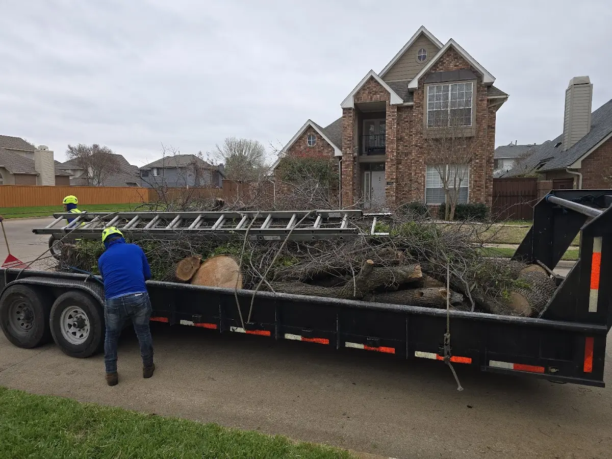 Expert Tree Fertilization with proper safety equipment in Salt Rock